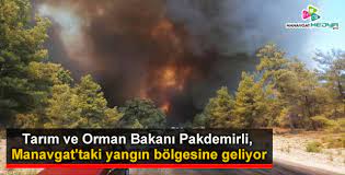 Yangın söndürme çalışmaları kuvvetli rüzgar nedeniyle güçlükle ilerliyor. Ny Vqavpjtg8cm