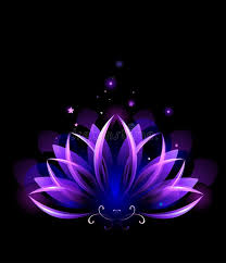 Purple Lotus Purple Glowing Lotus On Black Background Aff Lotus Purple Glowing Background Black Ad In 2020 Purple Black Backgrounds Lotus