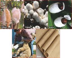 We did not find results for: Penerapan Ragam Hias Pada Bahan Tekstil Seni Budayaku