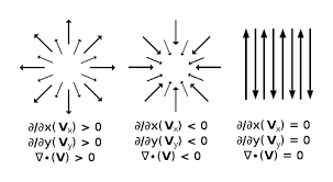 Can you please explain this part, what do you mean by mutation rate and any specific software to calculate that rate? Divergence Wikipedia