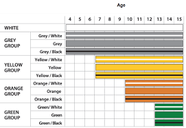 Lineage Bjj Youth Gracie Jiu Jitsu Belt Ranking System Update