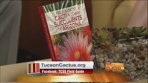 San jose cactus & succulent society show & sale peterson middle school, 1380 rosalia ave, sunny vale, ca 10:00 a.m. Tucson Cactus And Succulent Society Newly Released Field Guide Youtube
