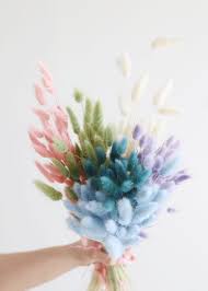 Pink Bunny Tails Dried Flower Arrangements Diy Dried Flower Arrangement Dried Flowers