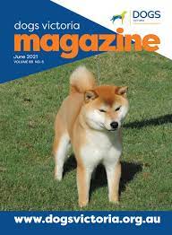 Maybe you would like to learn more about one of these? Dogs Victoria Magazine June 2021 By Dogs Victoria Issuu