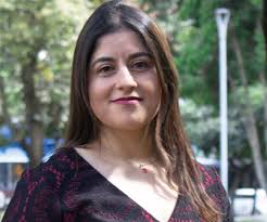 Leidy Natalia Rojas García, Análisis legal, judicial y el impacto de las  leyes de Colombia