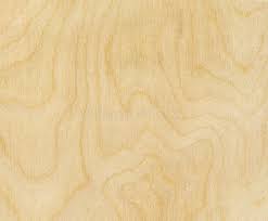 Birch Wood Texture High Resolution Birch Wood Texture Aff Texture Wood Birch Birch Resolution Ad Wood Texture Birch Wood Hardwood