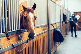 Cerca nel più grande indice di testi integrali mai esistito. Henrik Von Eckermann He Who Dares Wins Equilife World