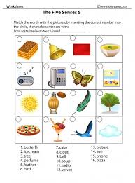 The Five Senses 5 Worksheet