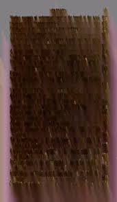 American antiquities, and discoveries in the West : being an exhibition of  the evidence that an ancient population of partiallly