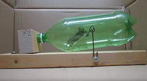 Simple Humane Mousetrap Made From Soda Bottle Make Bottle Soda Bottles Mouse Traps