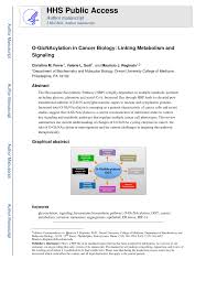 We did not find results for: Pdf O Gicnacylation In Cancer Biology Linking Metabolism And Signaling