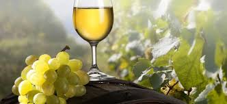 Il vino biologico pugliese fa tendenza, piccola guida (non esaustiva) per  un brindisi salutare e local - la Repubblica