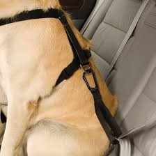 Dog Seat Belt Loop Dog Seat Belt Dog Walking Harness Dog Seat