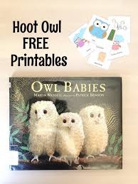 Hoot Owl Story Time For Preschoolers Owl Activities Owl Babies Book Baby Owls