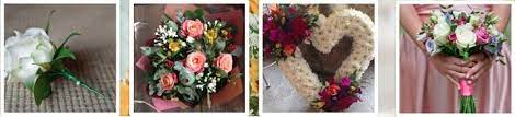 We would like to show you a description here but the site won't allow us. The 8 Best Options For Flower Delivery In Cambridge 2021