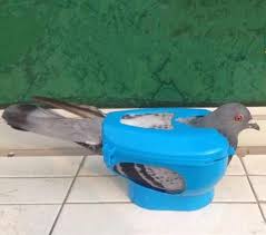 Corrida Pomba Pombo Suporte Do Bebe Para Alimentacao Por Injecao Fixo Montar Suprimentos De Passaro Alimentacao De Aves Aliexpress În pombo te iubeşte (pombo loves you) realizatorul steve warne spune povestea lui grif, un tată care în tinereţe juca rolul lui pombo, un personaj costumat mascotă a unui show de televiziune din. corrida pomba pombo suporte do bebe para alimentacao por injecao fixo montar suprimentos de passaro