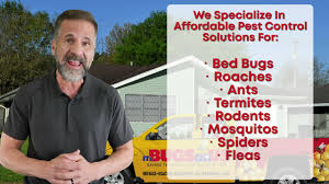 Here are the types of my home cleaning services project in highland village is really small. Pest Control And Exterminator For Texas It S Bugs Or Us Pest Control