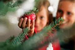 WG mit Hindernissen: So klappt's mit Hund und Katz