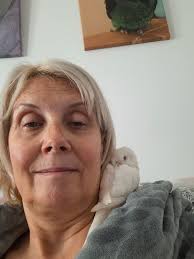 What do you think of the new Dolly