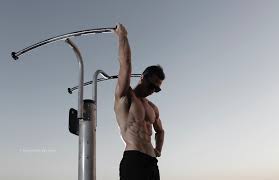 Maybe you would like to learn more about one of these? Skin The Cat Exercise Progressions To Increase Mobility N Core Strength Ignore Limits