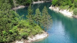 Image result for lamon.