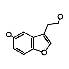 Serotonin Chemical Happiness Temporary Tattoo Set Of 2 In 2020 Luck Tattoo Serotonin Tattoo Molecule Tattoo