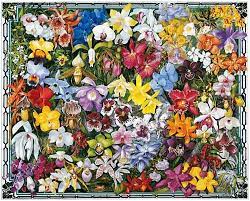 The lightest is only 6pieces. Orchids Puzzlewarehouse Com Flower Jigsaw Puzzles Orchids Flower Puzzles