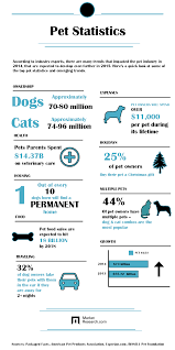 Pets Infographic Pets Infographic Petinfographic Petinfo Petinformation Cat Dog Cats Dogs Mrx Market Fun Facts About Animals Animal Infographic Pets