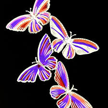 Black And Purple Butterfly Purple And Black Butterfly Drawings With Markers Simple But Striking Drawings Of Purple Butterflie Butterfly Drawing Butterfly Art Black Butterfly