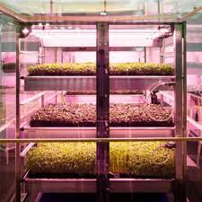 Check out the step by step article at instructables! Hydroponics Dezeen