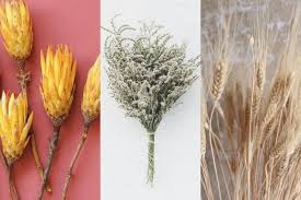 Beberapa buket lainnya seperti bunga mawar juga sering dipesan. 9 Tanaman Ini Cocok Banget Jadi Komposisi Bouquet Bunga Kering