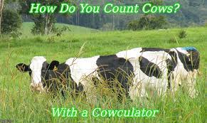 How Do You Count Cows Imgflip