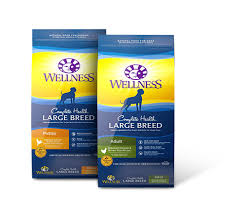 Wellness Large Breed Complete Health Puppy Deboned Chicken Brown Rice Salmon Meal Recipe Dry Dog Food 30 Lb Bag