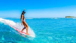 Image result for foto surfínie