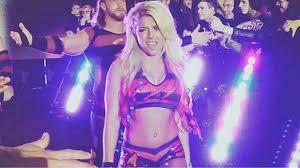 Columnist Corner Wrestlerant