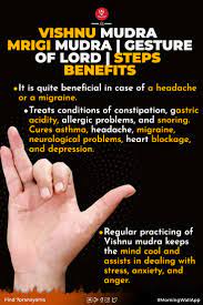 Vishnu Mudra Mrigi Mudra Gesture Of Lord Steps Benefits Mudras Yoga Facts Healing Yoga