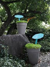 Releaf Rainwater Harvesting Plants Outdoor Plants