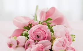 ¿cuál es la rosa favorita del mundo? Rosas Exoticas Mas Bellas Del Mundo 2021 Rosas Hermosas