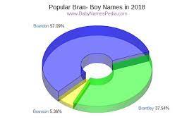 The names have substantially slipped in popularity since then, and are currently of sporadic use. View Boy Names Starting With Bran At Baby Names Pedia With Concise Name Meanings Origins Pronunciation And Charts