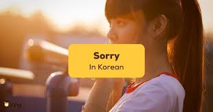 Sorry In Korean: 10 Remarkable Ways To Apologize - Ling App