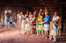Kaiowá, ñandeva and m'byá, of which guarani children work on the sugar cane fields which now cover much of their people's ancestral. Guarani Of Paraguay Language Culture Food Study Com
