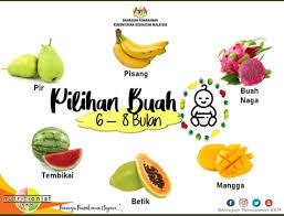 Usus baby belum cukup matang untuk proses makanan. Makanan Pilihan Bagi Bayi 6 8 Bulan