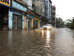 Trang tin tổng hợp giới trẻ. Bao Sá»' 3 Ä'á»™ Bá»• Ä'áº¥t Liá»n Ha Ná»™i Gio Lá»›n Quáº­t Cay Cá»'i Ngá»•n Ngang Tin Tá»©c