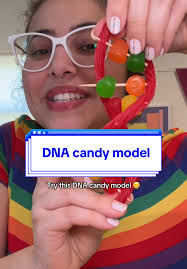 Dna Candy Model