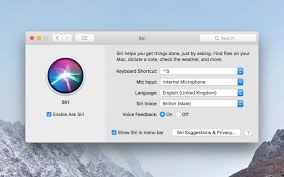 You can either set it up when you set up your new iphone or ipad, or at any time in settings. Get Hey Siri On Your Mac Or Use Siri In Total Silence The Mac Security Blog