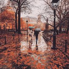 New York Jobs Near Me Autumn Photography Autumn Rain Autumn Aesthetic