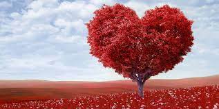 We did not find results for: Date De La Saint Valentin 2022 Fete Des Amoureux