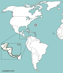 In this list of countries and capitals, we have. Test Your Geography Knowledge Latin American Countries Capital Cities Quiz Lizard Point Quizzes