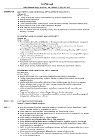 Senior Manager Learning Development Resume Samples Velvet Jobs