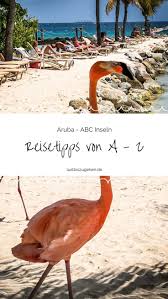 Aruba Travel Guide Lustloszugehen De Karibik Reisen Reisen Karibikinseln